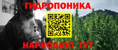 индика Донской