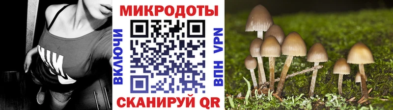 купить   Норильск  Галлюциногенные грибы мицелий 