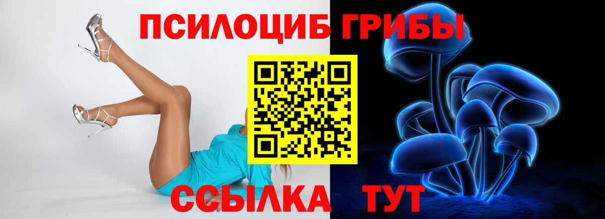 Норильск  купить   Вход с VPN  Галлюциногенные грибы Cubensis 